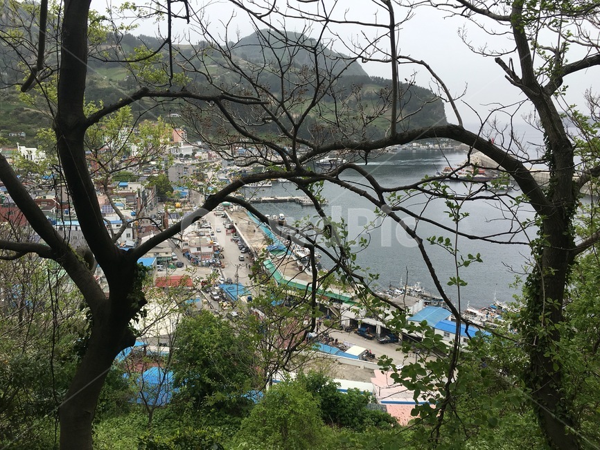 시골,산,배경,나무,바다,시골건물,울릉도,시골,마을,풍경,landscape,country,rural,town