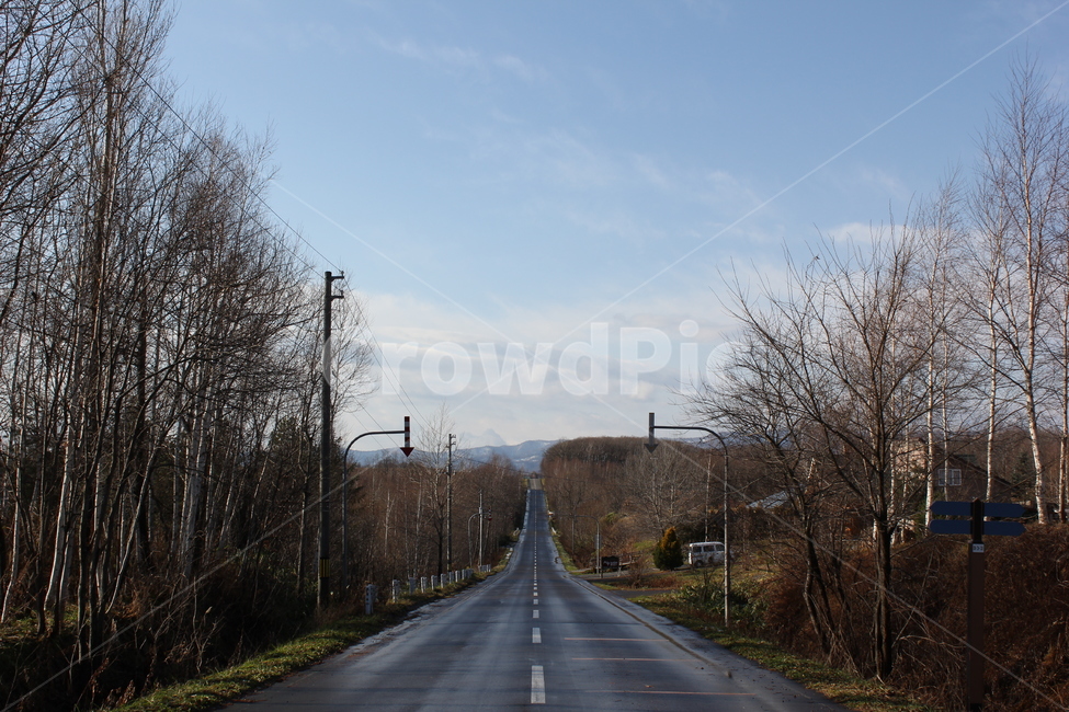 도로,언덕,비에이,홋카이도,북해도,일본,아시아,구름,하늘,경관,경치,자연,road,hill,biei,hokkaido,japan,asia,cloud,sky,landscape,nature,scenery,scene,view,교통,교통수단,traffic,transportation
