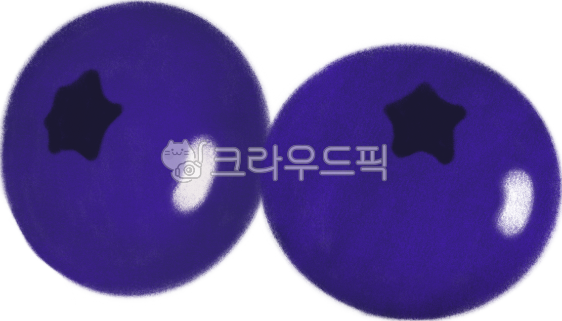 블루베리,베리,열매,과일,슈퍼푸드,블랙푸드,일러스트,과일일러스트,블루베리일러스트,블루베리그림,디저트,후식,푸드,블루베리드로잉,blueberry,food,fruit,berry
