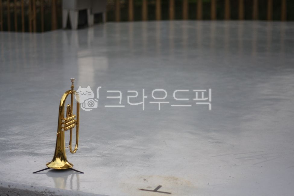 stage,trumpet,instrument,brass instruments