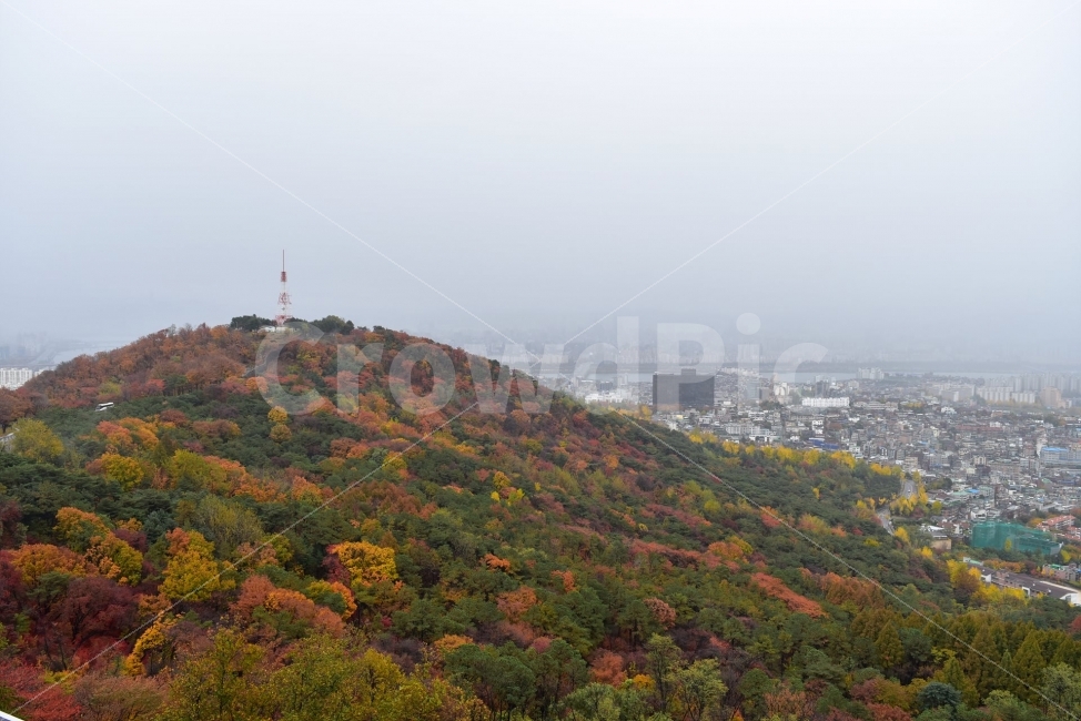 남산,가을,단풍,풍경,서울,낙엽,도심지,명소,자연,비경,단풍나무,가을색,가을색채,오색,가을,계절,fall,autumn,season,도시,풍경,city,landscape,nature,outdoors,옥외,scenery
