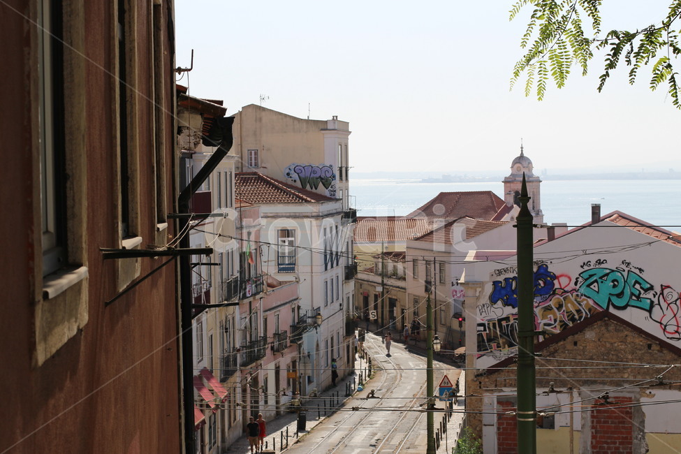 유럽,포르투갈,리스본,트램길,거리,골목,알파마,해외,외국,세계,foreign,oversea,world