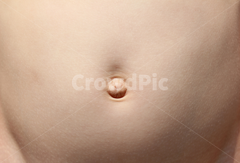 배꼽,배,bellybutton,body,boy,복부,child,closeup,healthy,human,nude,person,skin,stomach,어린이,아이,신체,남자아이,사람,피부,누드,사람,인물,인간,human,person,신체일부,몸,body