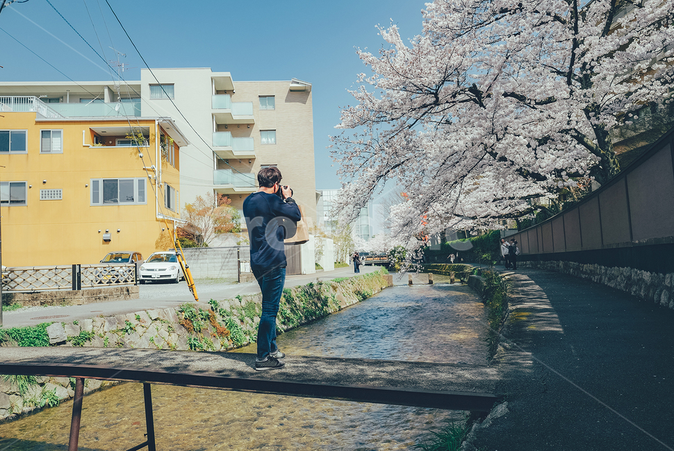 일본,사쿠라,벚꽃,풍경,봄,봄,계절,spring,season,자연,풍경,nature,landscape,사람,인물,인간,human,person,남성,남자,man,male,사진작가,포토그래퍼,photographer,plant,식물