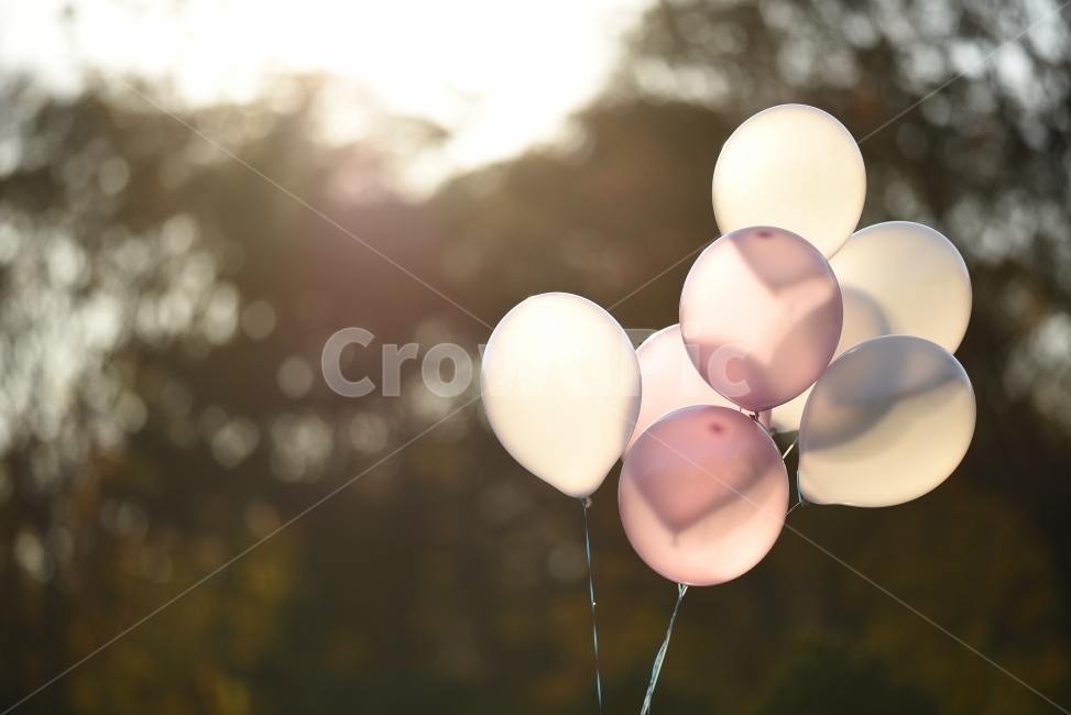 풍선,balloon,감성,색감,보케,감성,sensible,feeling,휴식,힐링,rest,relaxation,healing,사물,물건,오브젝트,thing,object,matter