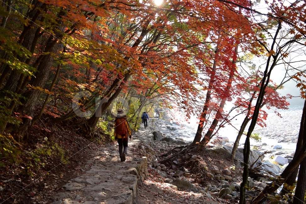 설악산,가을,단풍,풍경,백담사,구곡담계곡,수렴동계곡,계곡풍경,오색단풍,자연,스포츠,등산,산행,nature,느낌,아름다운,다큐,필,계절,디자인,힐링,명산,국립공원,순백,트레킹,단풍잎,오색,칼라풀,뷰티플,단풍터널,단풍숲,산객,등산객,그림같은,감성,절경,가을색,길,사람,아름다움,가을,계절,fall,autumn,season,자연,풍경,nature,landscape,사람들,대중,군중,other people,crowd,스포츠,레저,운동,sports,leisure,exercise,건강,헬스웨어,헬스케어,healthware,health care,tree,나무,plant,식물