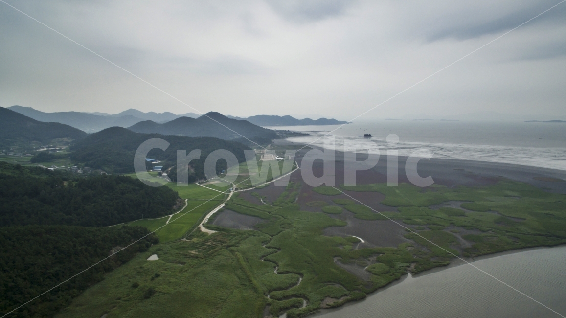 순천만,습지,바다,항공촬영,드론,자연,풍경,nature,landscape,여름,계절,summer,season,outdoors,옥외,경치,scenery,aerial view,조감도