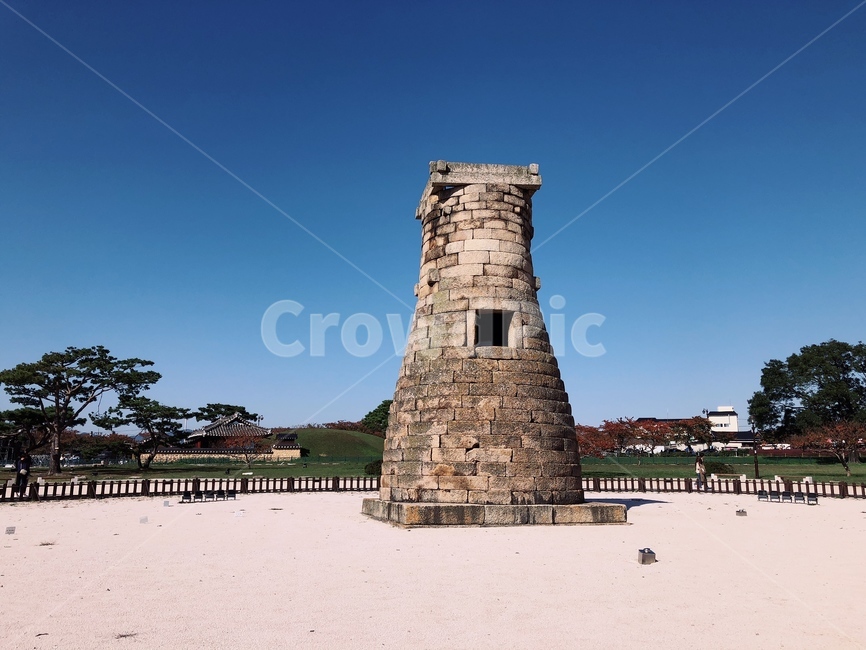 경주,첨성대,풍경,나무,국보