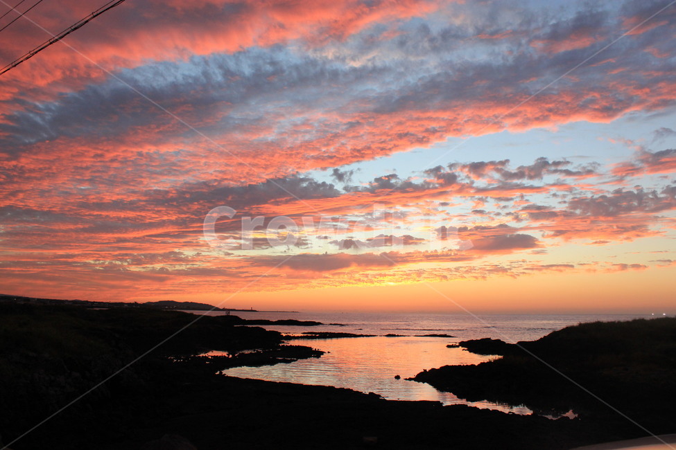제주도,감성사진,일몰,sunset,역광,자연,feeling,vibe,sensible,mood,nature,배경사진,자연,풍경,nature,landscape,한국자연풍경,한국자연경관,korea nature landscape,제주도,jeju,jeju island,outdoors,옥외,sky,하늘,dusk,황혼,red sky,붉은 하늘,dawn,새벽