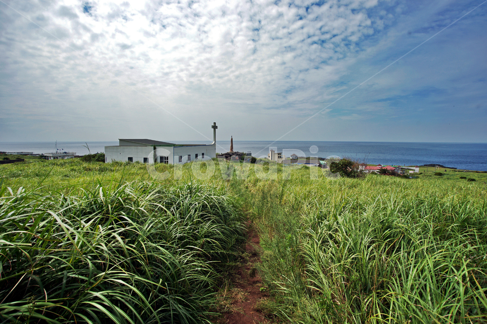 마라도,제주도,대정읍,섬,마라도교회,교회,목초지,자연,풍경,nature,landscape