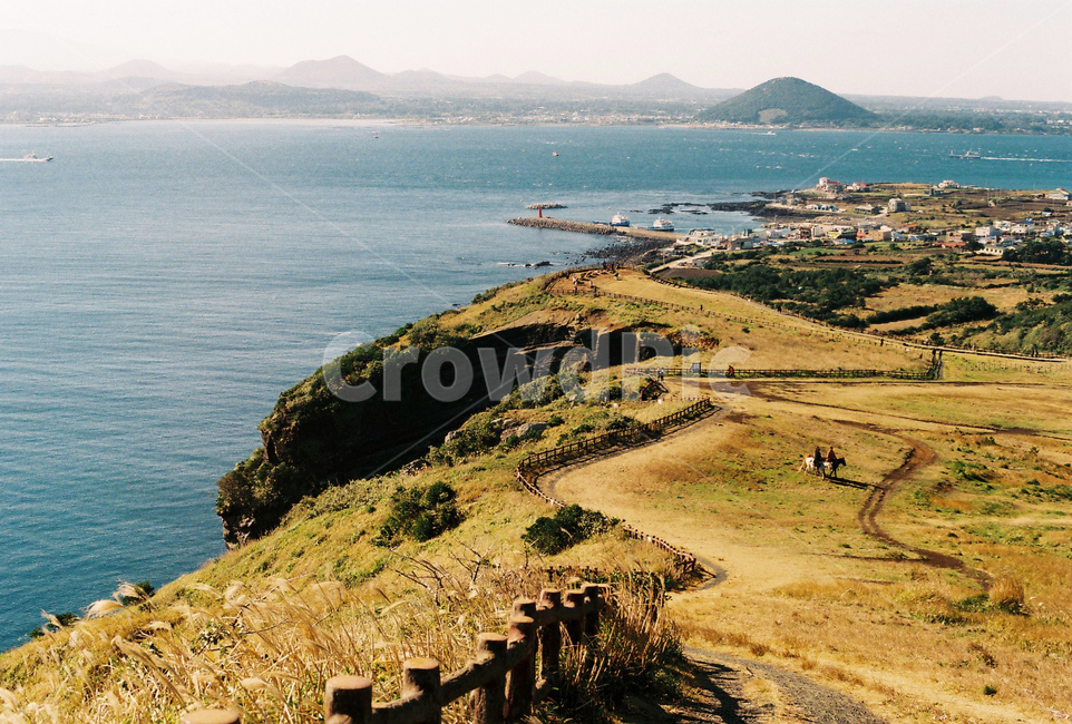 자연,제주,우도,초원,필름사진,제주도,jeju,jeju island