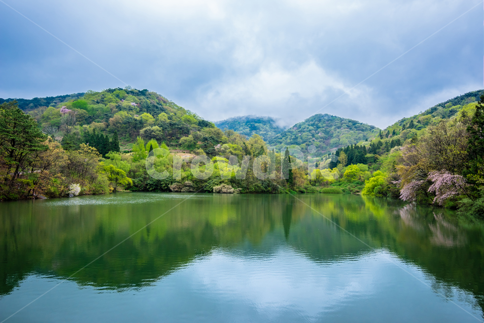 화순,세량지,봄,저수지,nature,자연,water,물,lake,호수,자연,풍경,nature,landscape