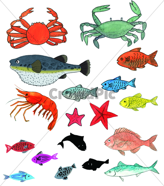 손그림,물감그림,watercolor,fish,물고기,handdrawing,꽃게,bluecrab,복어,blowfish,fugu,불가사리,starfish,새우,shrimp,prawn,게,crab,animal,동물