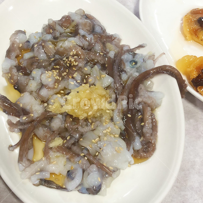 부산,맛집,산낙지,낙지탕탕이,음식,낙지,음식,식재료,요리,food,cook,meal,dishes,food reserves,수산물,해산물,fishery products,seafood