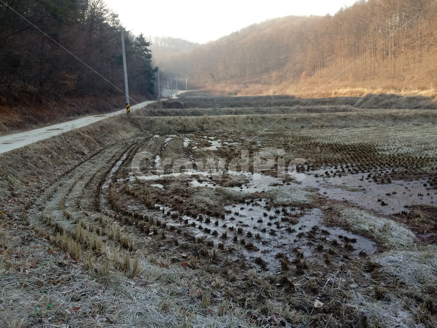 바닥,흙,토지,ground,outdoors,land,논,농토,길,도로,산,농촌,시골,마을,풍경,landscape,country,rural,town