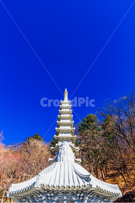 탑,석조물,사찰,전통,선,풍경,한국전통,한국문화,korean traditional,korean culture,종교,신앙,religion,belief,faith,건축물,건물외관,exterior,building,structure,architecture,construction