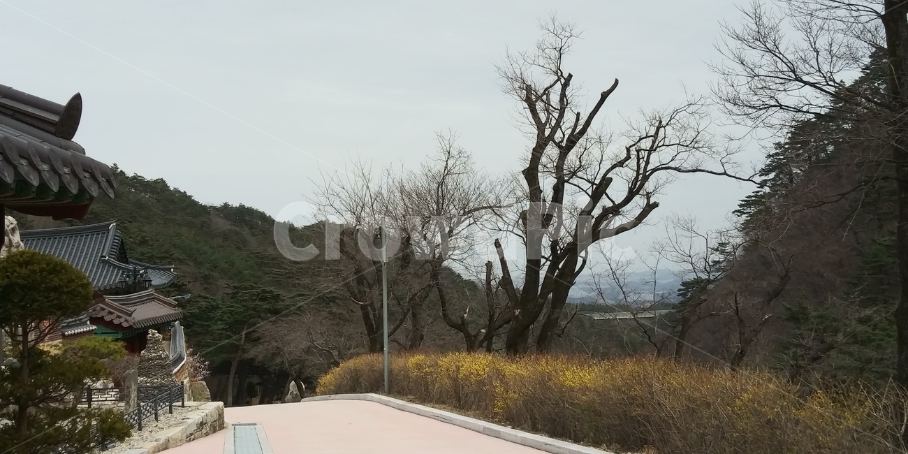 시골풍경,풍경,시골길,평창,봉평길