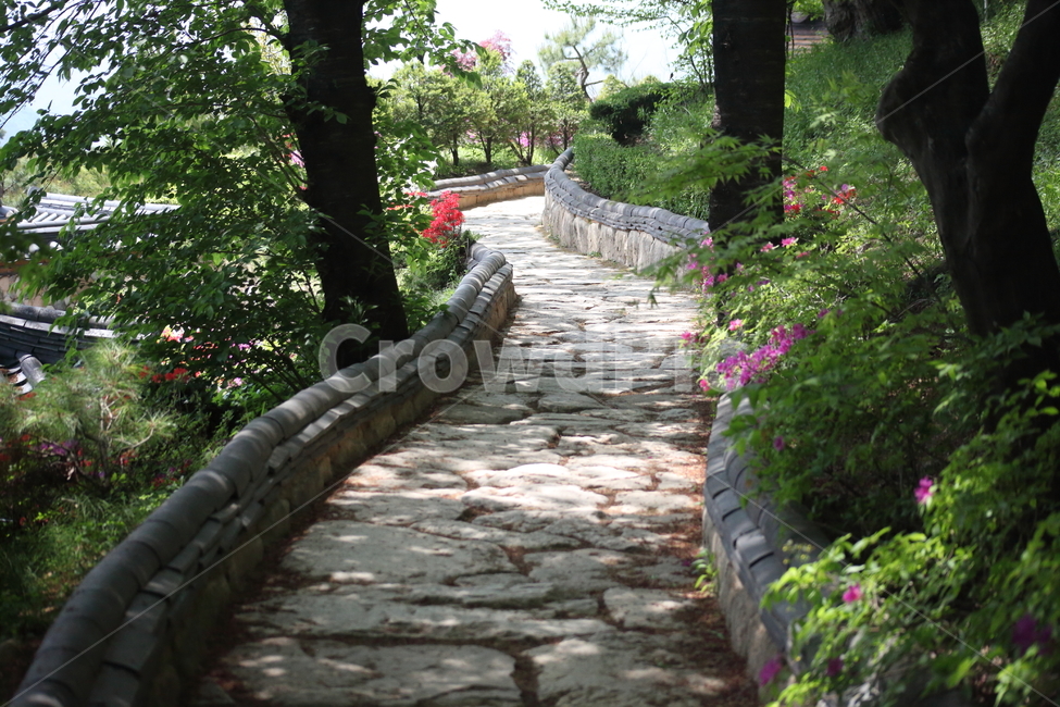 길,산책길,봄,나무,road