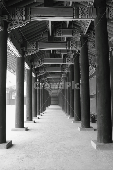 창덕궁,단청,기둥,흑백,한국전통,건물,한국전통,한국문화,korean traditional,korean culture,랜드마크,landmark,tourist attraction,한국랜드마크,한국관광지,한국명소,korea landmark,korea tourist attraction,흑백,모노톤,monochrome,black and white,건축물,건물외관,exterior,building,structure,architecture,construction