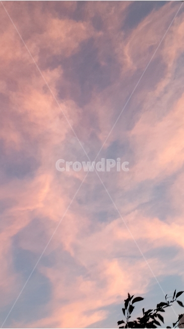 하늘,구름,분홍,자연,해질녘,풍경,분홍색,감성,sky,cloud,pink,nature,sunset,scenery,자연,풍경,nature,landscape,색깔,색상,색채,색감,color sense,color sensitivity,feeling of color,outdoors,옥외