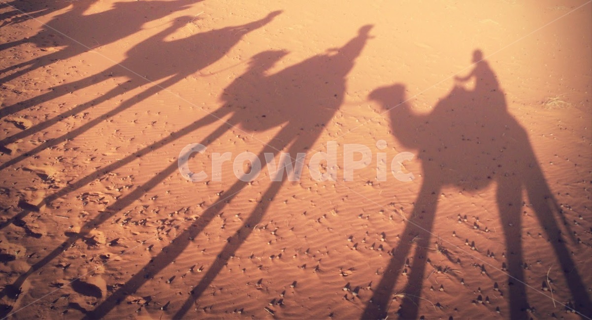 사막,사하라,모로코,여름,낙타,모래,그림자,여행자,desert,sahara,morocco,camel,traveler,tourist,summer,자연,풍경,nature,landscape,해외,외국,세계,foreign,oversea,world,세계자연풍경,해외자연풍경,외국자연풍경,world nature landscape,실루엣,그림자,silhouette,shadow,soil,흙,sand,outdoors,옥외