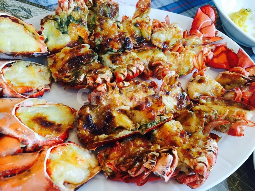 랍스타,음식,로브스타,바닷가재,랍스타요리,음식,식재료,요리,food,cook,meal,dishes,food reserves,수산물,해산물,fishery products,seafood,양식,서양음식,서양요리,western food,western dishes,western meal,western cook