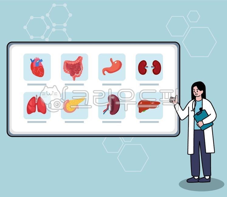 organ,internal organ,body organ,doctor,major organ