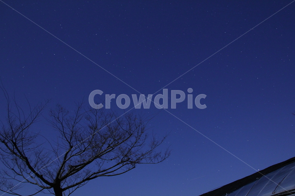별,star,밤하늘,오리온자리,밤,달,moon,야경,밤,풍경,nightscape,night,landscape,nature,자연,outdoors,옥외