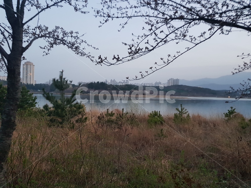 nature,자연,outdoors,옥외,water,물,호수,나무