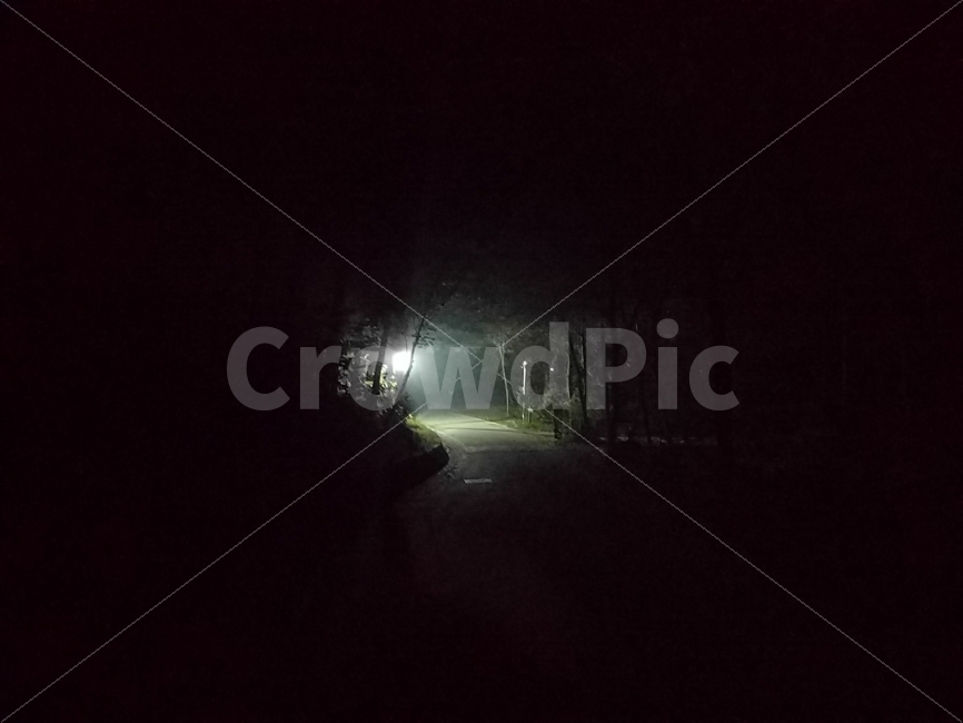 밤,공원,야경,캠핑,풍경,산책,가로등,자연,풍경,nature,landscape,야경,밤,nightscape,night,light,빛,flare,플레어