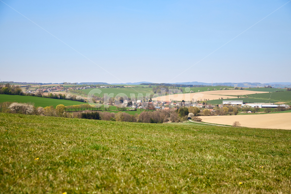 field,들,outdoors,옥외,grassland,목초지,nature,자연,유채꽃,유채꽃밭,유럽,유럽시골,유럽전경,유럽풍경,자연,풍경,nature,landscape