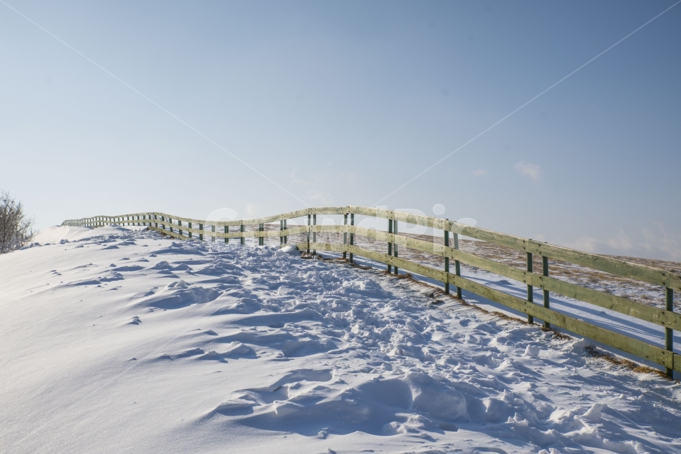겨울,눈,울타리,풍경,대관령,겨울,계절,winter,season,자연,풍경,nature,landscape,한국자연풍경,한국자연경관,korea nature landscape,handrail,난간,banister,railing