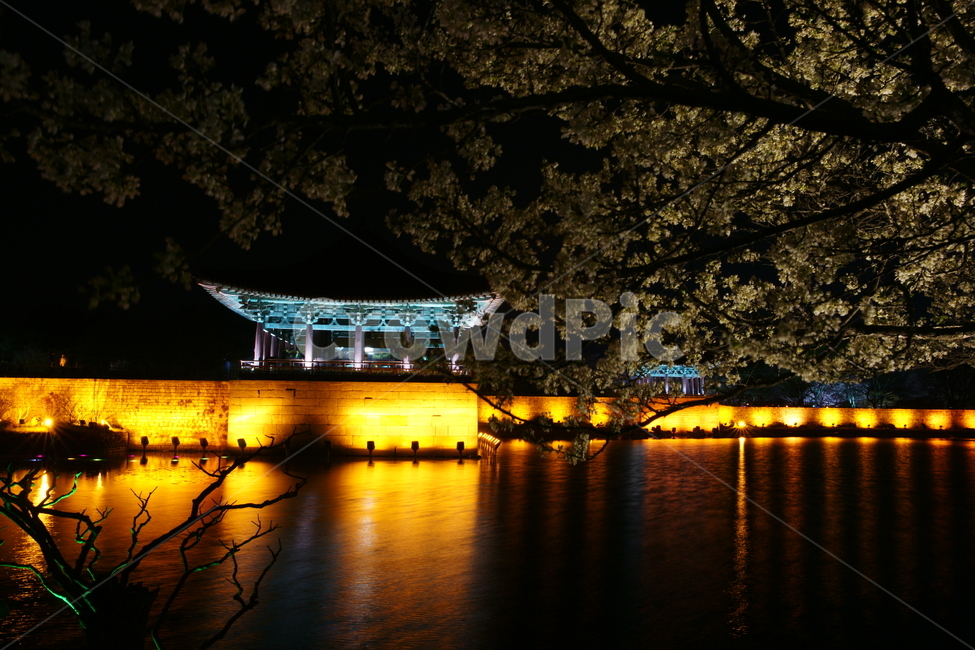 경주,안압지,야경,피러팡,야간출사,야경,밤,풍경,nightscape,night,landscape,한국전통,한국문화,korean traditional,korean culture,랜드마크,landmark,tourist attraction,한국랜드마크,한국관광지,한국명소,korea landmark,korea tourist attraction