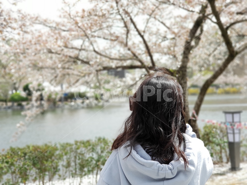 식물,인물사진,꽃,blossom,봄