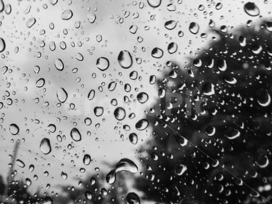 흑백사진,물방울,빗방울,유리창,맺히다,감성,sensible,feeling,비,비오는날,rain,rainy,흑백,모노톤,monochrome,black and white