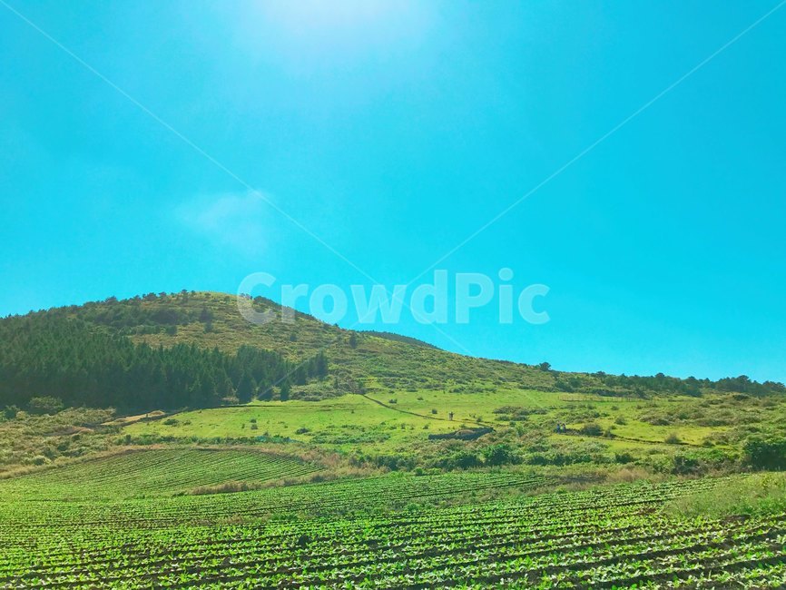 자연,하늘,산,풍경,배경,자연,풍경,nature,landscape,outdoors,옥외