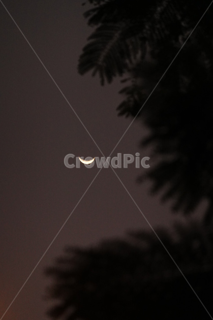 초승달,노을,해질녘,달,조명,감성사진,나무,실루엣,야경,밤,풍경,nightscape,night,landscape