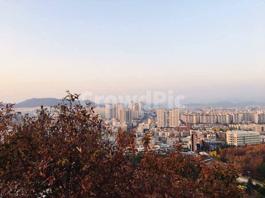 대구학산,학산뷰,학산정상,도시,도시전경