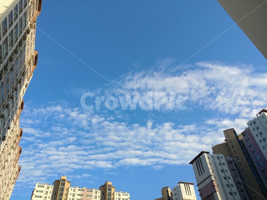 하늘,파랑,자연,sky,구름