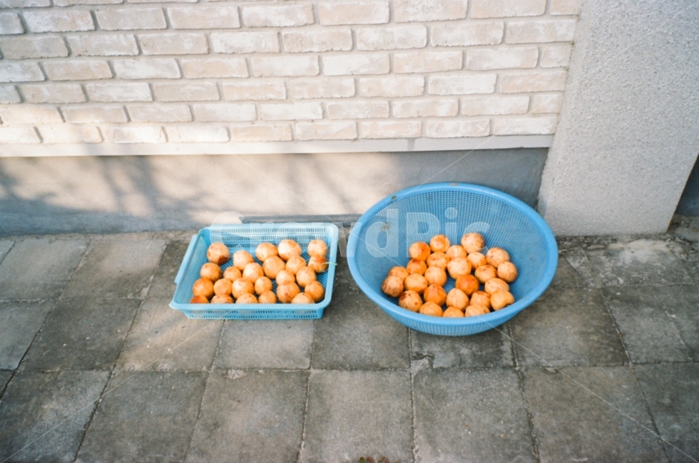 과일,귤,감성,길,fruit,오브젝트,농산물,열매,식재료,주황,주황색,비타민,음식,식재료,요리,food,cook,meal,dishes,food reserves,과일,열매,fruit
