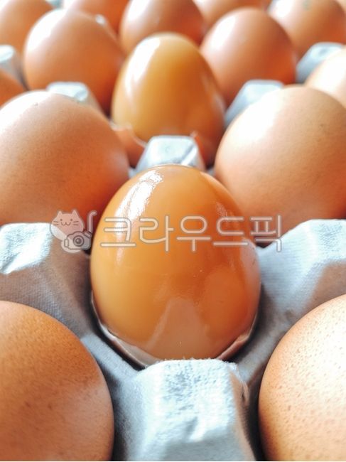 달걀,계란,구운계란,훈제란,훈제계란