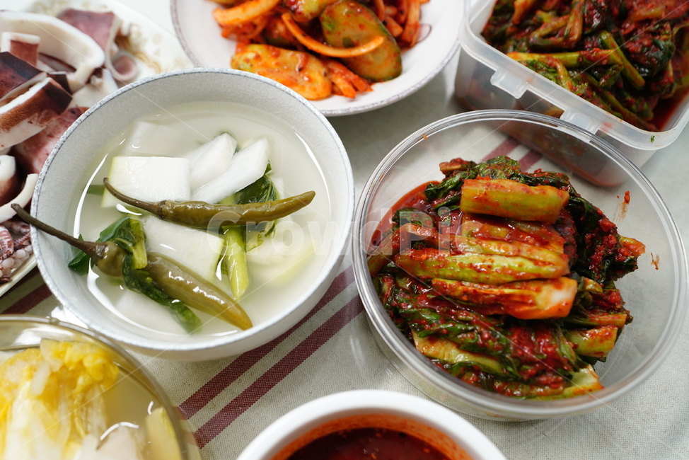 집밥,한식,음식,요리,정성,먹방,야채,백김치,김치,한국,식사,먹거리,음식,식재료,요리,food,cook,meal,dishes,food reserves,한식,한국음식,한국요리,korean food,korean dishes,korean meal,korean cook