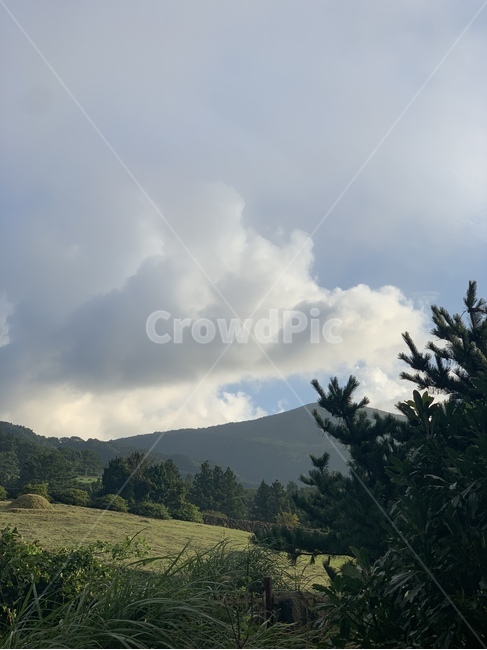 nature,자연,전나무,식물,나무,산,초원,구름,하늘,outdoors,tree,plant,제주도