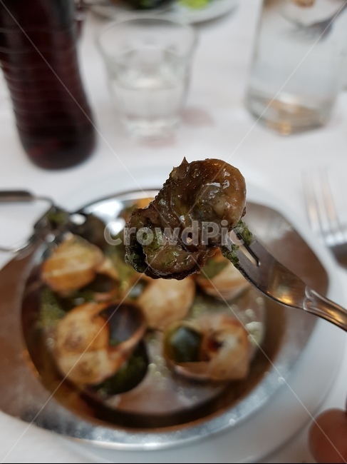 프랑스요리,에스까르고,달팽이요리,프랑스음식,달팽이,바질페스토