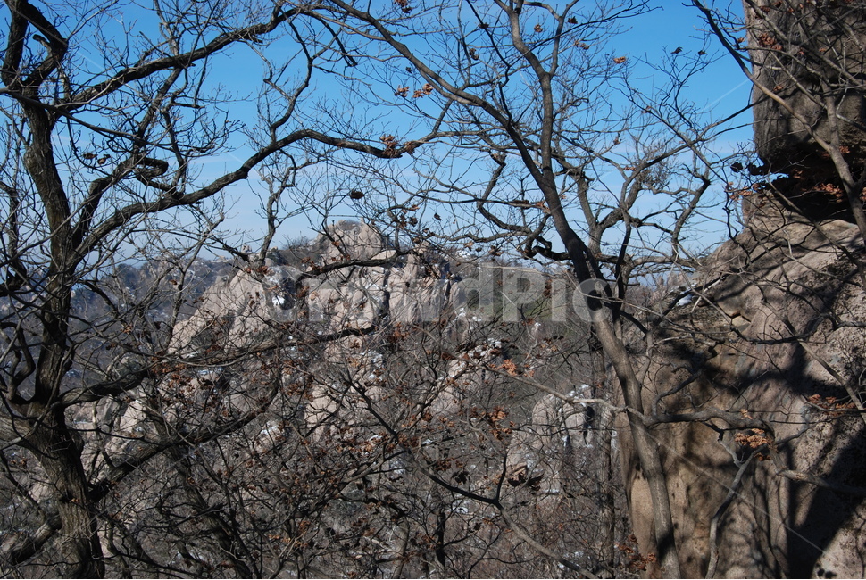속리산국립공원,문장대,천왕봉,입석대,수학여행지,자연의위대함,등산로,능선,아름다움,신비스런산,돌,산행,힐링,자연,감성,등산,계절,여행,한국,한국명산,한국등산,풍경,눈,나무,하늘,바람,바람소리,환경,생태계,산,땅,겨울,계절,winter,season,자연,풍경,nature,landscape,한국자연풍경,한국자연경관,korea nature landscape,tree,plant,식물,tree trunk,나무 줄기