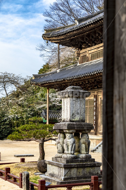 화엄사,국보,사자탑,각황전,전통건축물,문화재,문화유산,감성,사찰,관광지,기와지붕,처마