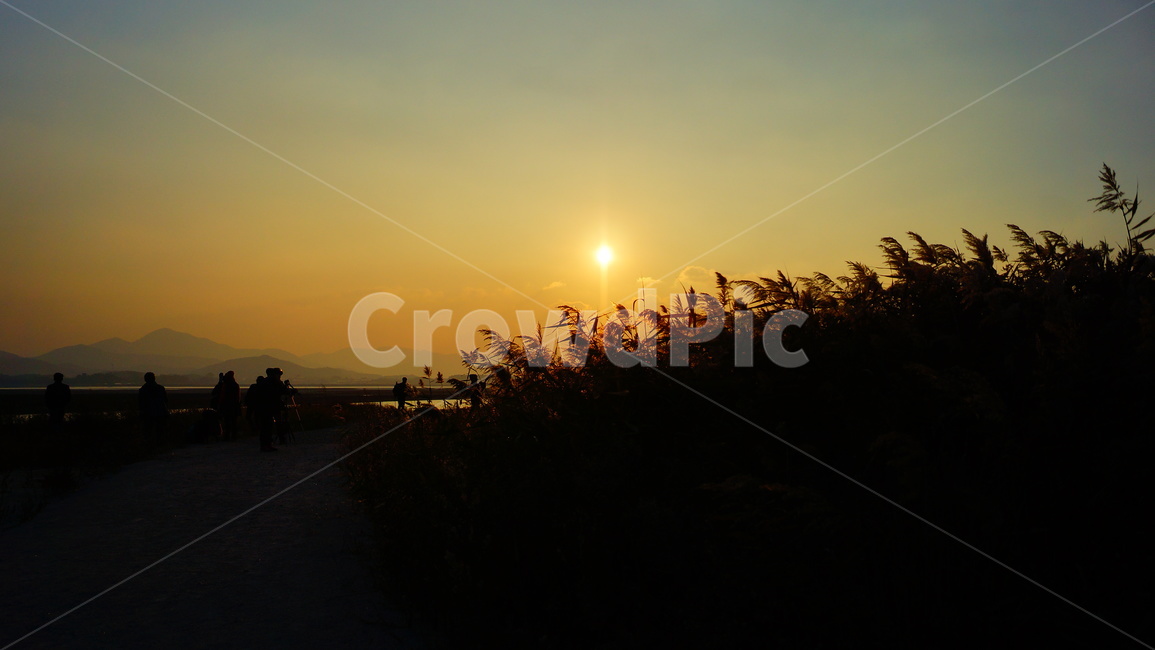 적막감,노을,고요함,가을하늘,저녁하늘,일상,하늘,바다,자연,풍경,nature,landscape,outdoors,옥외,sunlight,햇빛,sky,sunset,일몰,red sky,붉은 하늘,dawn,새벽,dusk,황혼,flare,플레어,light,빛