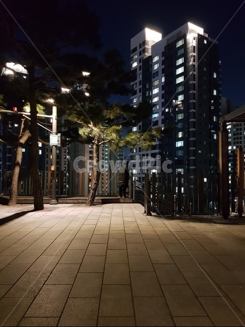 flagstone,판석,human,인간,person,사람,flooring,바닥,아파트,산책로,쉼터,효사정