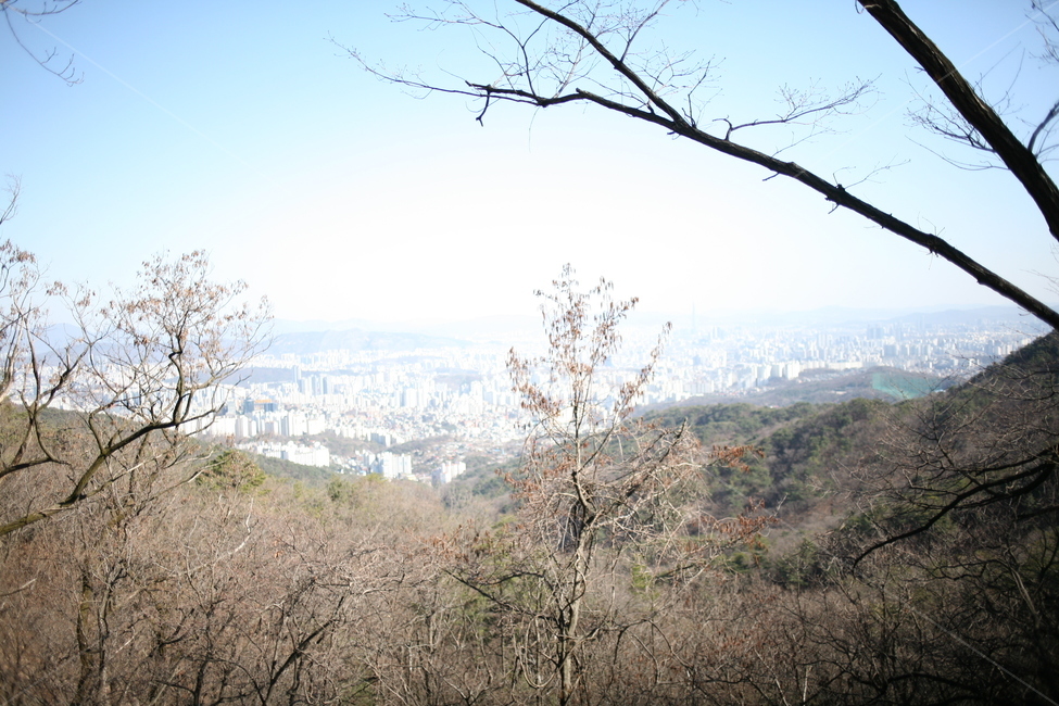 나무,낙엽,풍경,숲,산,북한산,mountain,tree,forest