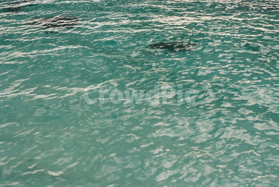 바다,감성사진,해변,파도,물속,자연,색감,컬러,초록색,바닷속,제주도,우도,ocean,color,green,sea,udo,jeju,wave,물결,시원함,힐링,자연,풍경,nature,landscape,water,물,outdoors,옥외